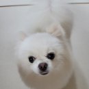 올리스 일산백석점 이미지