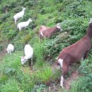 대굴령마을 이미지