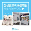 잠실준25시 동물병원 이미지