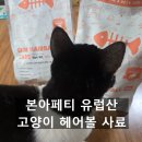 아이버리 헤어 | 스킨앤헤어볼케어 유럽산 고양이 키블 헤어볼 사료] 15살 노령묘 땅콩이 고양이사료 고양이 설사 사료 후기
