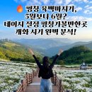 이평9 마을진입로 | 평창 육백마지기, 5월보다 6월? 데이지 절정의 평창가볼만한곳 개화 시기 완벽 분석!