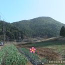 경남부동산중개 이미지