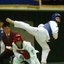 단국대 올림픽태권도 이미지