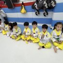 어룡태권도 이미지