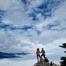 봉의목장 | 오대산 노인봉 트래킹(24.9.18.)