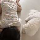 용궁원천탕 이미지