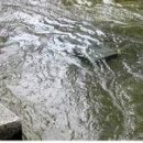 동전던지기 조형물 이미지