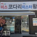 미스코다리 미스터 황태 이미지