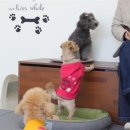 왈왈애견 이미지