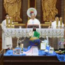 수원-2040 이미지