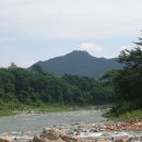 산나물 도시락 코스 이미지