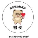 골든햄스터분양 햄츠비 | 골든햄스터분양 가격 외모 사후관리 100% 밤낮없이 소통가능