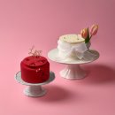 유어발렌타인데이(Your valentineday)