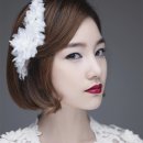 섹시컬러헤어라인