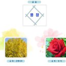 용정초등학교 이미지