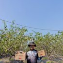 이성재농장 이미지