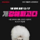 대연다방