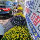 너른공원 게이트볼장 이미지