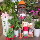 동부그린근린공원2 이미지