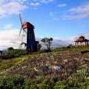 허브밸리(암석원) 이미지