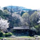 숲속쉼터 이미지