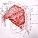 바디템플 휘트니스 이미지