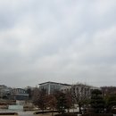 연세대학교 | 베베핀뮤지컬 두근두근 새친구 연세대학교 백주년콘서트홀 관람후기