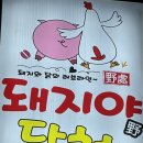 호성참치 | 돼지야닭처｜호성동 고기집 고기 맛집 (호성동 맛집)