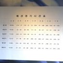 용마당구장 Daum카페