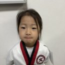 용인 신일 태권도장 이미지