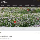바르도