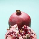 석류모텔 이미지