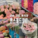 강남 고터 꽃시장 영업시간 맨스필드 장미 꽃말