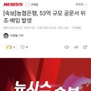 농협은행, 53억 규모 공문서 위조·배임 발생 이미지