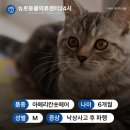 정강동물병원 이미지