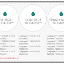 (주)켐포트 이미지