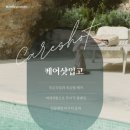 댕데이지 네이버블로그