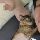 바담사진관