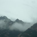 남도1번지 이미지