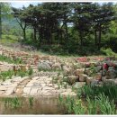 웅천 소류지 이미지