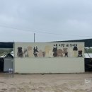 바둑이마을 이미지