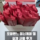 오늘은보름 | 질 세정제 대신 선택한 포미엔느 프로바이오틱 이너 케어 젤 사용 후기, 보름간 써본 솔직 리뷰