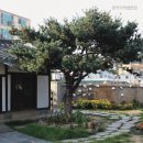 왕성여인숙 이미지
