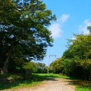 대영청과 이미지