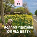 합덕리 | 충남 당진 가볼만한곳 합덕제 합덕성당 골정지 벚꽃 수선화 실시간