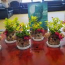 플라워 테라피(A) 이미지