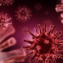 동진체육도장 이미지