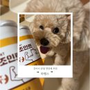 하행스