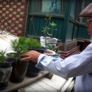 대도빌라 이미지