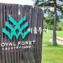 올데이 로얄포레 이미지